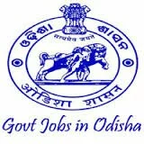 chief-district-medical-officer-cdmo-jajpur